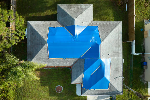 Best Solar Panel Roofing Installation  in Jackson, LA